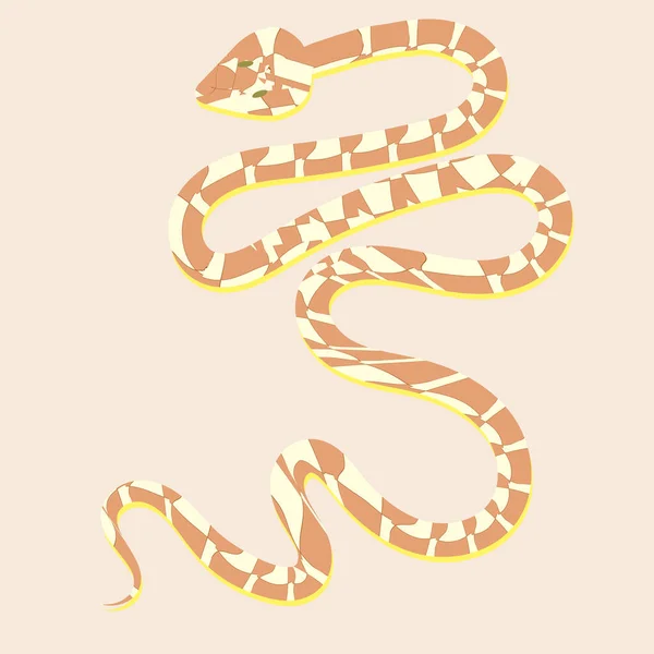Vektorbild Einer Braunen Schlange Die Aktion Gleitet Niedliche Lustige Schlange — Stockvektor