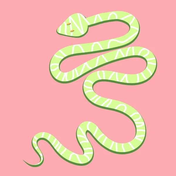 Immagine Vettoriale Serpente Verde Che Scivola Azione Carino Divertente Serpente — Vettoriale Stock