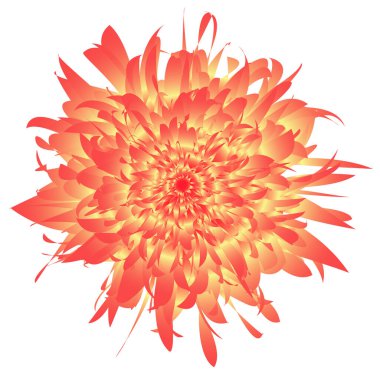 parlak vektör kırmızı çiçek beyaz arkaplanda