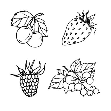 Meyve seti - çilek, ahududu, frenk üzümü, vişne, meyve suyu paketleri, reçeller, menüler ve çocuk boyama sayfalarında kullanılabilir..