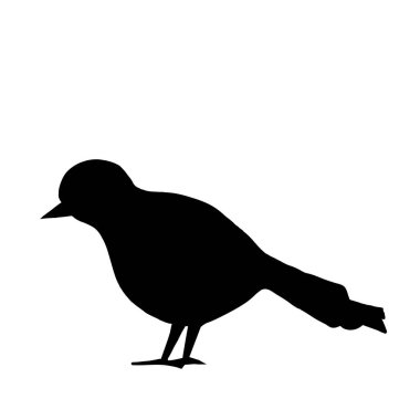 Beyaz arkaplanda siyah bir kuş silueti. Doodle, ikon..