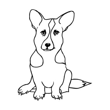 Beyaz bir zemin üzerinde bir corgi cinsi köpek yavrusu. Karalama tarzında bir yavru vektör..