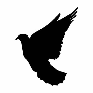 Beyaz arka planda bir güvercin kuşunun silueti. Uçan bir kuş. Vektör illüstrasyonu..