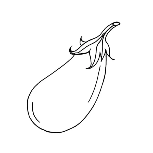 Eén Aubergine Een Witte Achtergrond Handgetekend Vectoraubergine Kan Gebruikt Worden — Stockvector