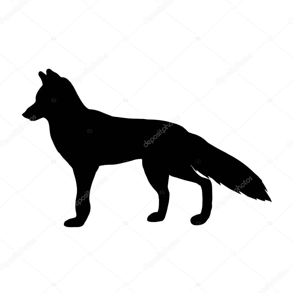 Black silhouette of a fox animal on a white background.View in profile.Vector illustration.