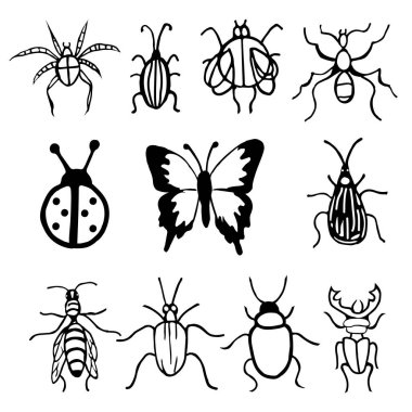 Beyaz arka planda bir grup böcek. 11 böcek-uğur böceği, kelebek, arı, karınca, sinek ve böcekten oluşan vektör kümesi..