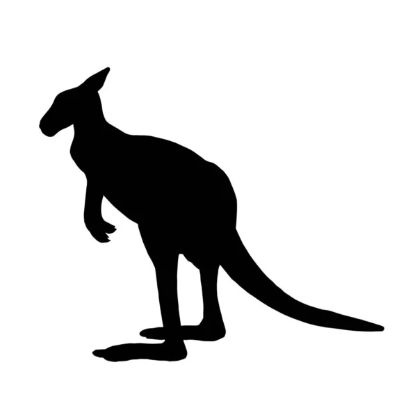 Silhouette Noire Animal Kangourou Sur Fond Blanc Vue Kangourou Profil — Image vectorielle