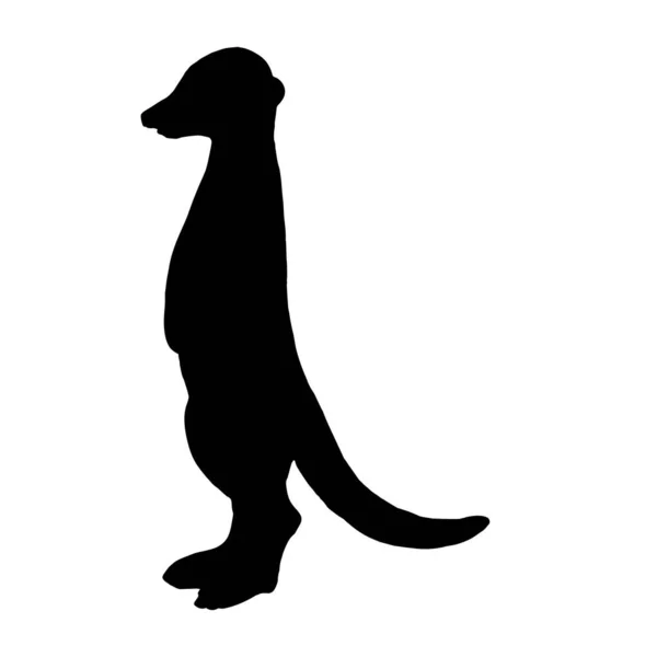 Silhouette Suricate Sur Fond Blanc Illustration Vectorielle — Image vectorielle