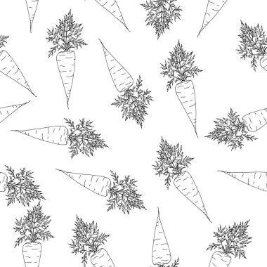 Beyaz arka planda havuç desenleri var. Sebze deseni tekstil, ambalaj ve depolamada kullanılabilir.