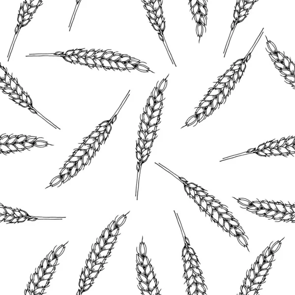 Muster Von Weizenähren Auf Weißem Hintergrund Vektor Muster Doodle Stil — Stockvektor
