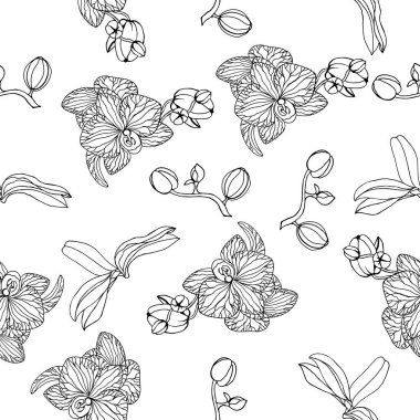Beyaz arkaplanda orkideleri, yaprakları ve tomurcukları olan bir desen. Siyah beyaz vektör el çizimi. Botanik desen tekstil, kartpostallar ve paketlemede kullanılabilir..
