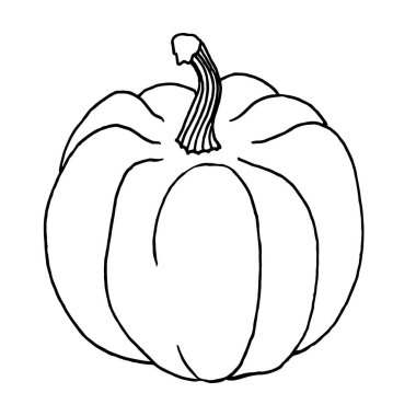 Beyaz bir arkaplanda karalama kabağı. Tekstil, kartpostallar, boyama kitapları ve paketlemede vektör kabağı kullanılabilir..