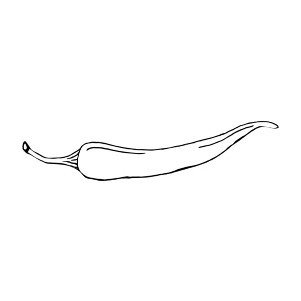 Chilli Paprika Bílém Pozadí Ruční Kreslení Vektorový Pepř Lze Použít — Stockový vektor