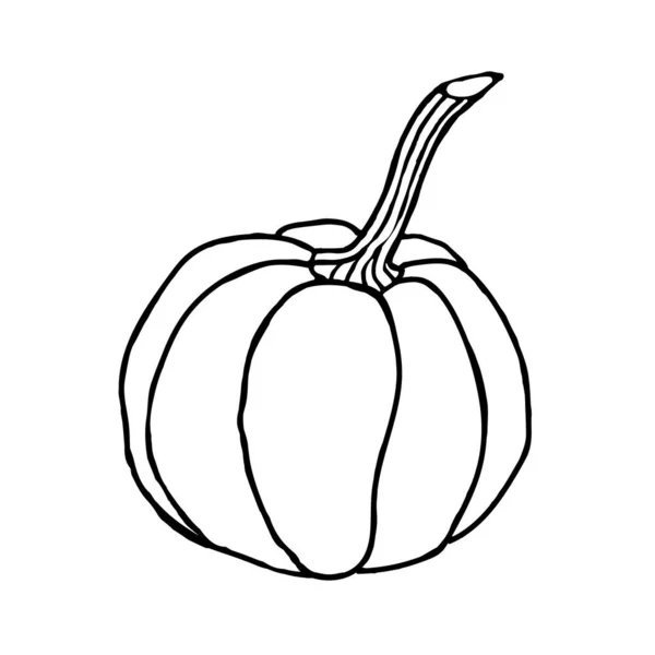 Calabaza Doodle Sobre Fondo Blanco Calabaza Vectorial Puede Utilizar Textiles — Vector de stock