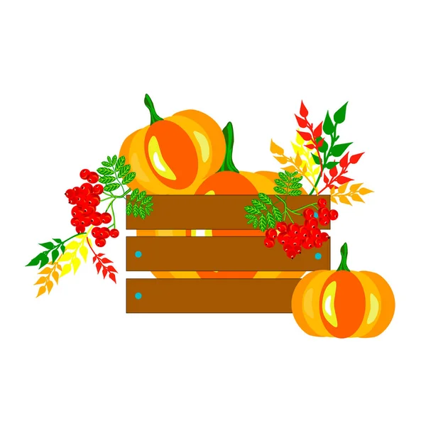 Composición Otoñal Calabaza Ceniza Montaña Hojas Una Caja Sobre Fondo — Vector de stock