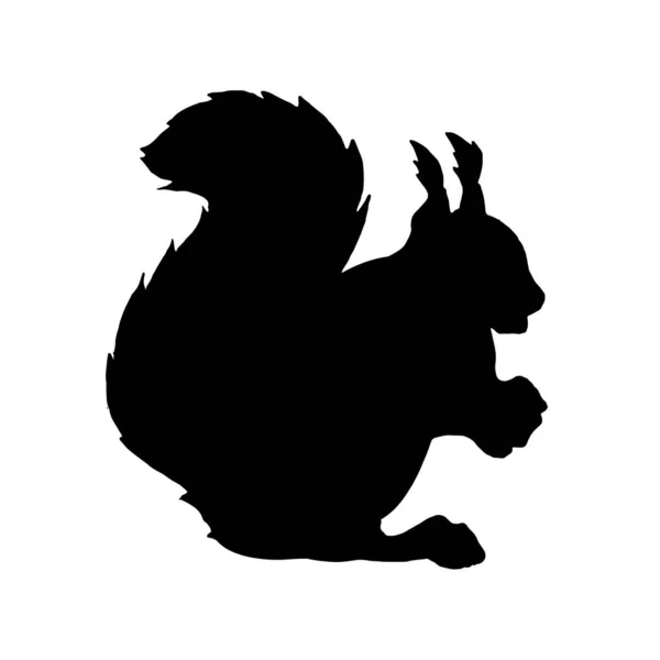 Silhouette Animal Squirrel White Background Vector Illustration Profile View — 스톡 벡터