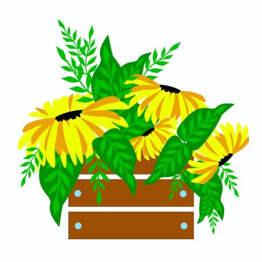 Ayçiçeklerinin bir kutuda çiçek aranjmanı. Ayçiçeği çiçekleri sonbahar tatili tasarımlarında, kartpostallarda kullanılabilir. Vektör illüstrasyonu.