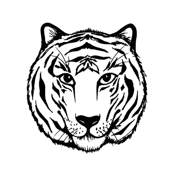 Portret Tygrysa Białym Tle Tygrys Wektorowy Może Być Stosowany Noworocznych — Wektor stockowy