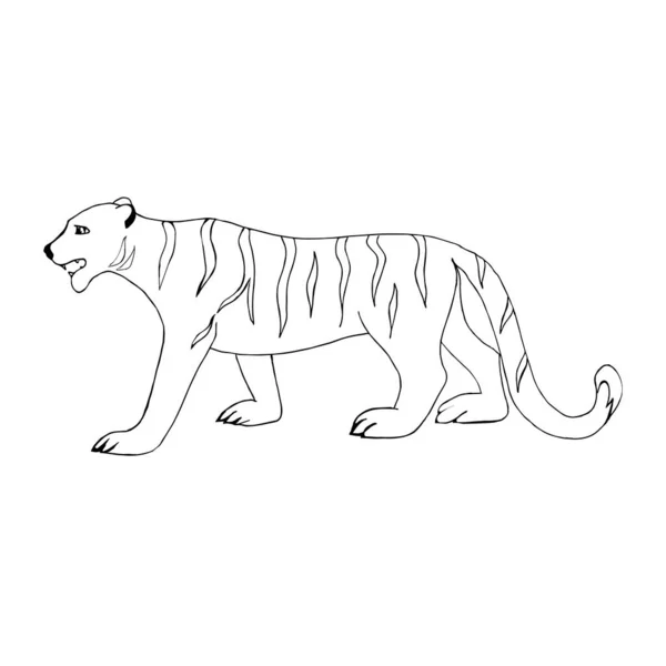 Doodle Tiger White Background Vector Tiger Can Used Children Coloring — Stock Vector
