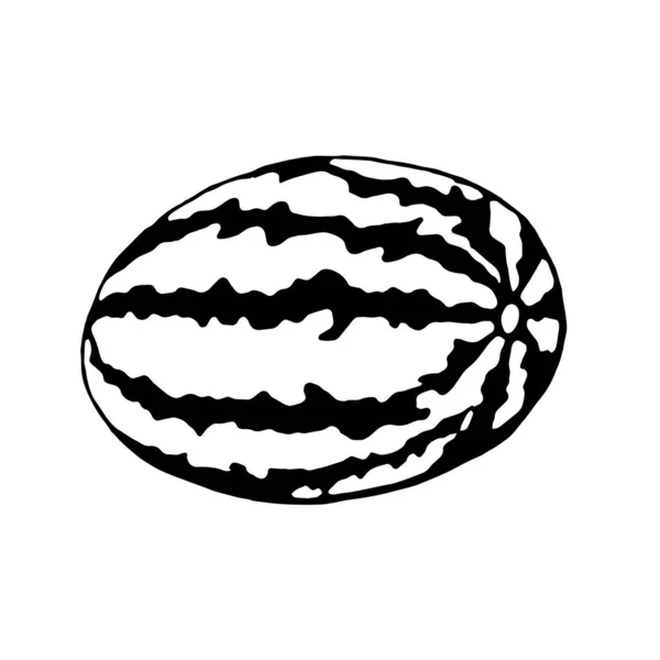 Doodle Eine Ganze Wassermelone Auf Weißem Hintergrund Vector Wassermelone Kann — Stockvektor