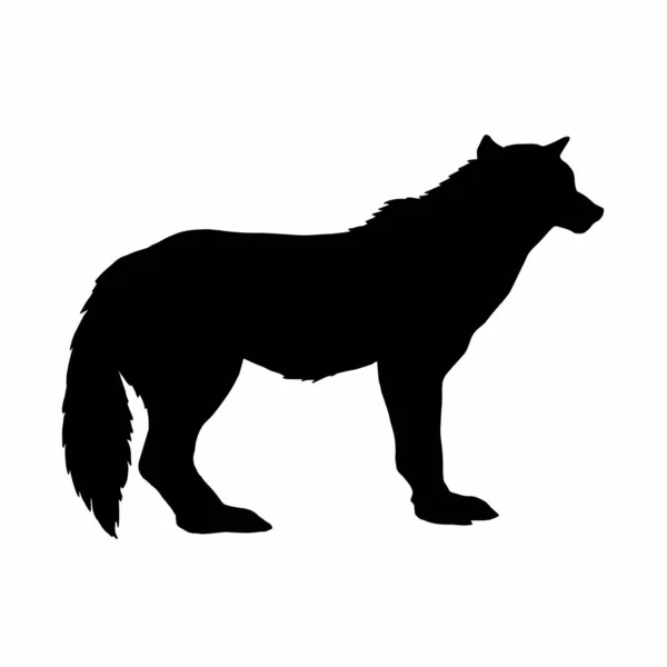 Silhueta Lobo Animal Isolado Fundo Branco Ilustração Vetor Ver Perfil —  Vetores de Stock