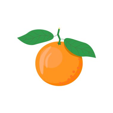 Beyaz arkaplanda renkli mandalina. Kozmetik tasarımlarda, tekstil ürünlerinde, kartpostallarda, paketlerde vektör narenciyesi kullanılabilir.