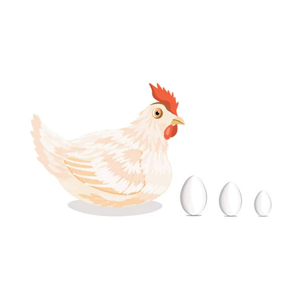 Pollo Con Uova Nel Nido Isolato Sfondo Bianco Illustrazione Vettoriale — Vettoriale Stock
