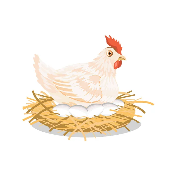 Pollo Con Huevos Nido Aislado Sobre Fondo Blanco Ilustración Vectorial Ilustración De Stock