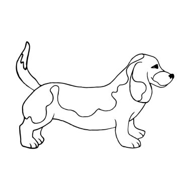 Beyaz arka planda izole edilmiş bir Basset av köpeği. Karalama stilinde vektör illüstrasyonu, siyah-beyaz el çizimi..