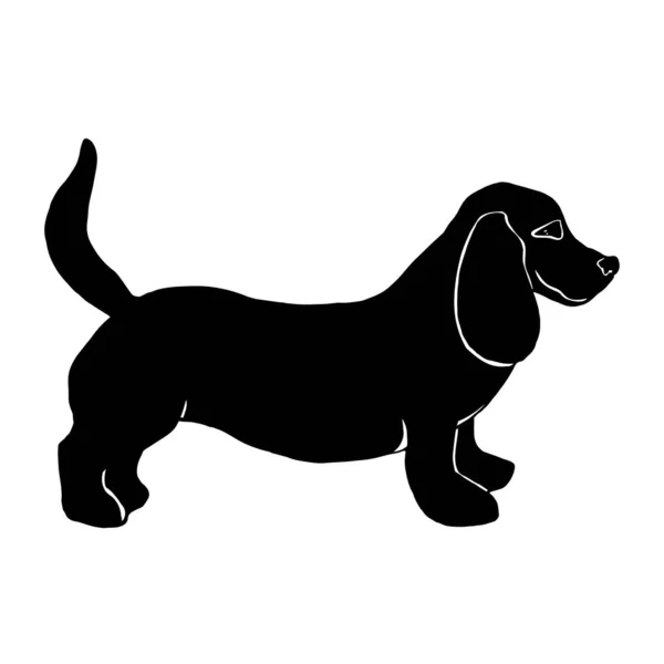 Basset Hund Svart Siluett Isolerad Vit Bakgrund Vektor Illustration Handritning — Stock vektor