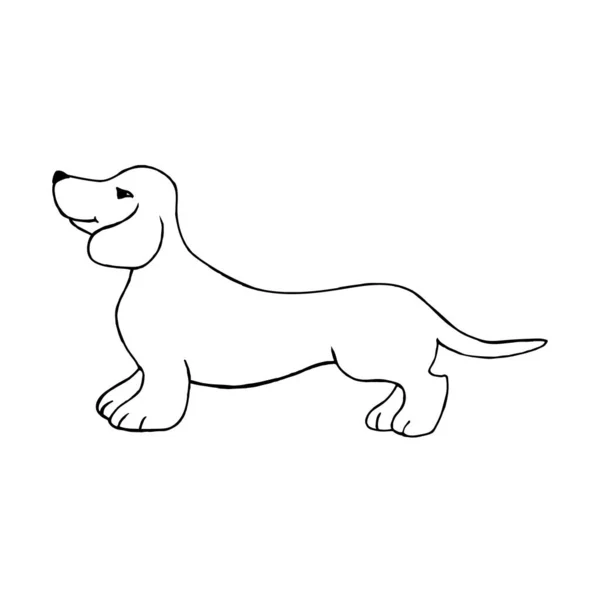 Cane Bassotto Isolato Uno Sfondo Bianco Illustrazione Vettoriale Stile Doodle — Vettoriale Stock