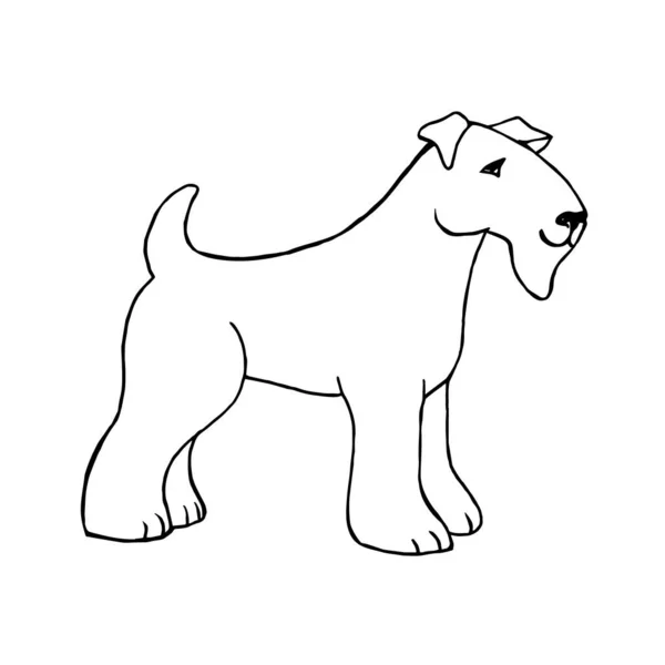 Cão Raça Terrier Raposa Isolado Fundo Branco Ilustração Vetorial Doodle — Vetor de Stock