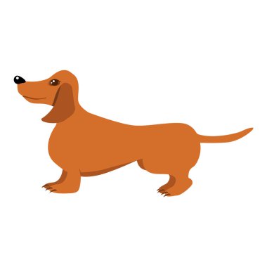 Dachshund cinsi köpek, kahverengi, beyaz bir arka planda izole edilmiş. Bir hayvanın vektör çizimi..