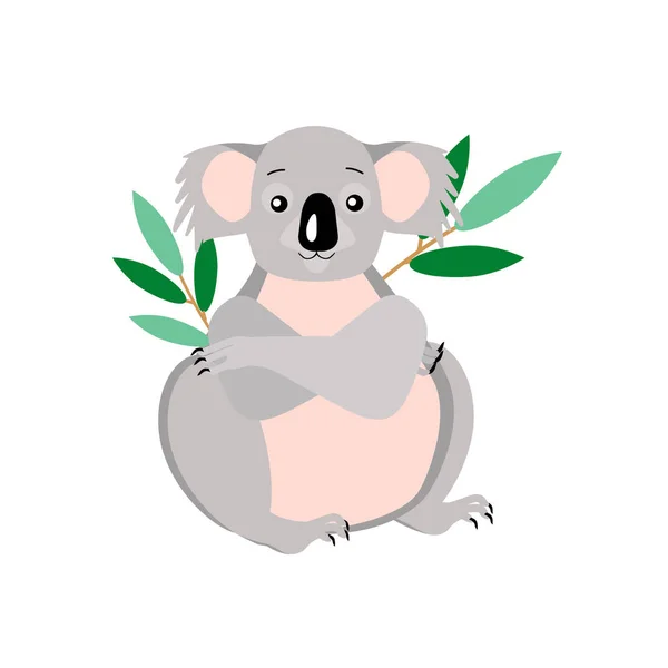 Ένα Ελκυστικό Αυστραλιανό Ζώο Κοάλα Λευκό Φόντο Vector Εικονογράφηση — Διανυσματικό Αρχείο