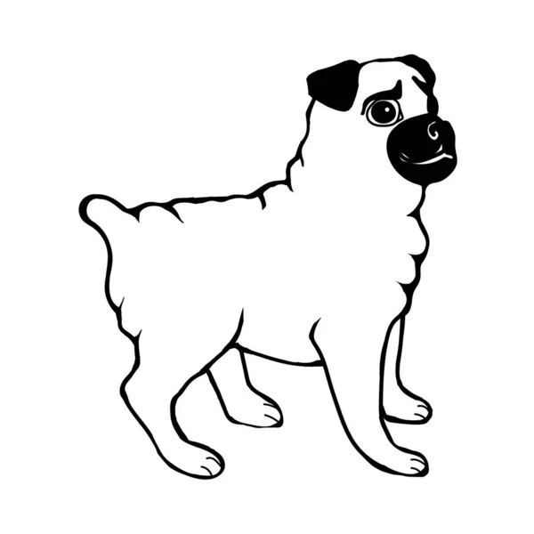 Mops Hund Isolerad Vit Bakgrund Vektor Illustration Klotter Stil — Stock vektor