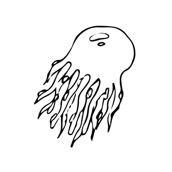 水母是一种生活在白色背景上的海洋动物 — 图库矢量图片