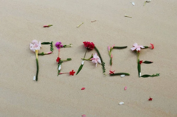 Ειρηνική Φωτογραφία Λουλούδια Στην Παραλία — Φωτογραφία Αρχείου