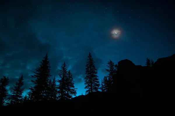 Νυχτερινή Φωτογραφία Ενός Δέντρου Φεγγάρι — Φωτογραφία Αρχείου