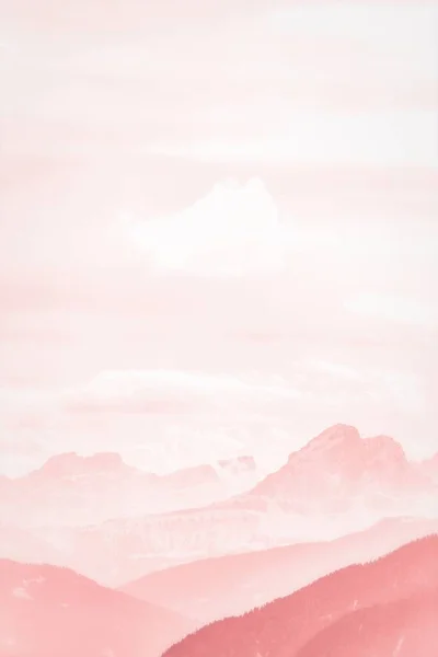 핑크와 디자인 — 스톡 사진