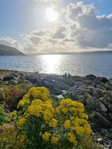 Saa Nature Scotland — Stock Photo, Image