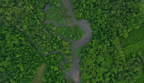 River delta river meander inland dron aerial video shot in floodplain forest and lowlands wetland swamp, quadcopter view flying fly flight show, protected landscape area of Litovelske Pomoravi — Stock Photo, Image