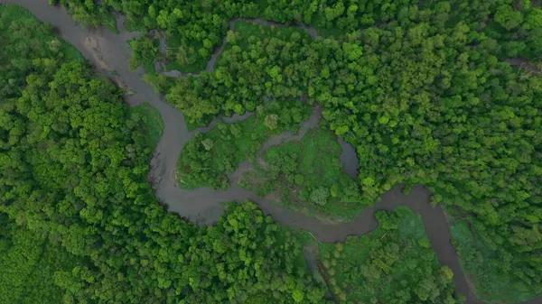 Meanders rivier delta rivier dron lucht video opgenomen landinwaarts in uiterwaarden bos en laagland moeras, quadcopter uitzicht vliegen vliegshow, beschermd landschap gebied van Litovelske Pomoravi — Stockfoto