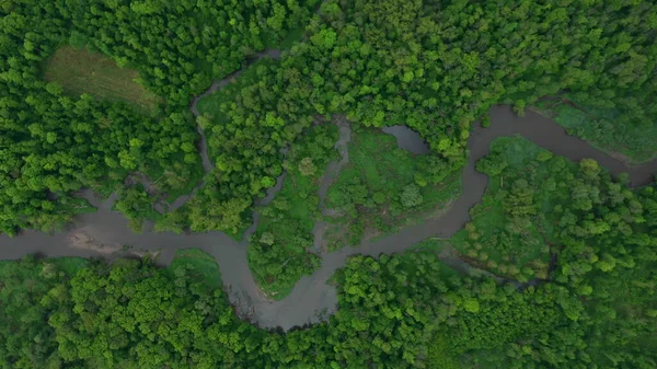 Meanders river delta river dron vídeo aéreo filmado no interior em Floresta de várzea e planícies pantanosas pântano, quadcopter view flying fly flight show, área de paisagem protegida de Litovelske Pomoravi — Fotografia de Stock