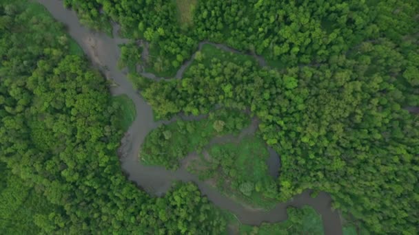 Меандерс река дельта реки Дрон воздушное видео снято вглубь суши в пойменных лесах и низменностях болота водно-болотных угодий, вид на квадрокоптер летающих мух полета шоу, охраняемые ландшафты области Litovelske Поморави — стоковое видео