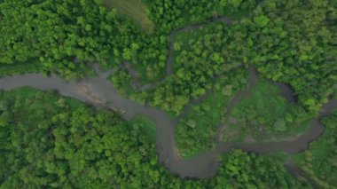 Nehir delta nehrinin kıvrımlı iç kesimlerinde su baskını ormanlarında ve ovalarda çekilmiş dron hava görüntüleri bataklık, kuadkopter manzaralı uçuş gösterisi Litovelske Pomoravi 'nin korunan manzara alanı