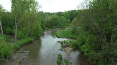 Nehir kenarındaki su baskınları, delta dron hava filosu görüntüleri, kumlu kumlu alüvyum ormanı, ovaları sulak arazi, bataklık, kuadkopter, uçuş gösterisi, koruma altındaki Litovelske Pomoravi bölgesi.