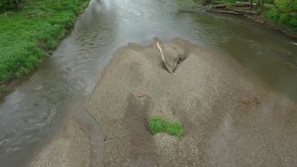 Meanders folyó delta dron légi felvétel forgatott belföldön homokos homok alluvium ártér erdő síkság vizes élőhely mocsár quadcopter kilátás repülő légy repülés show, védett táj Litovelske Pomoravi — Stock videók