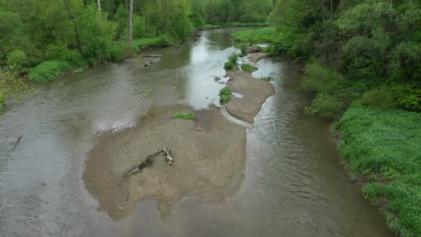 Řeka meandry záplavy nížina delta dron vzdušné video záběr vnitrozemí písek aluvium les nížiny mokřady bažiny quadcopter pohled létání létání létat letová show, chráněná krajinná oblast Litovelské Pomoravi — Stock video