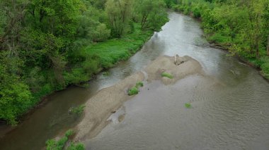 Nehir taşkını ovaları, kumlu araziler, delta dron hava filosu. Alüvyum ormanı, alçak araziler, bataklık, kuadkopter, uçuş gösterisi, Litovelske Pomoravi koruma alanı.