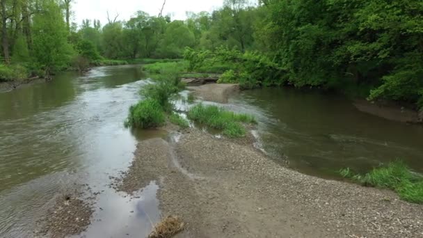 Plaine inondable rivière méandres delta dron filmé intérieur sable sablonneux alluvion forêt plaine humide marécage quadcopter vue vol spectacle mouche, zone protégée paysage Litovelske Pomoravi — Video